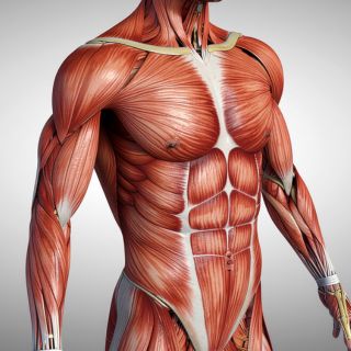 Alivio localizado y rápido